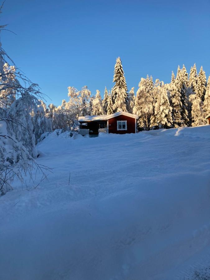Baervallen 388 ซาเลน ภายนอก รูปภาพ