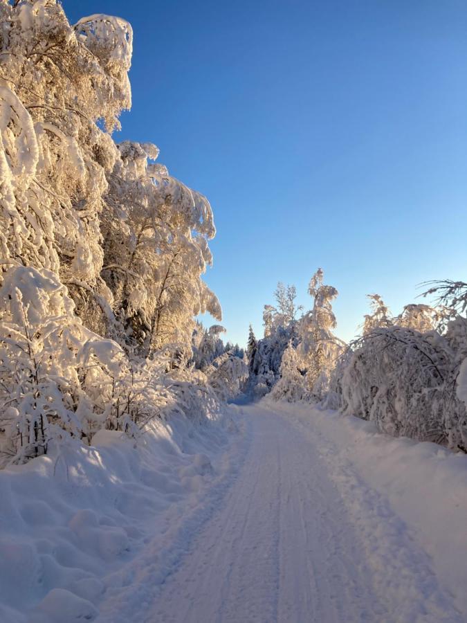 Baervallen 388 ซาเลน ภายนอก รูปภาพ